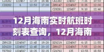 12月海南实时航班时刻表查询及便捷出行多方观点探讨