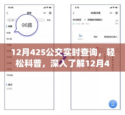 深入了解，12月425公交实时查询系统科普指南