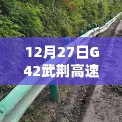 揭秘武荆高速G42实时路况与隐秘美食宝藏，特色小店探秘之旅