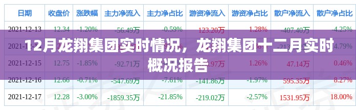 龙翔集团十二月实时动态报告，最新概况与进展