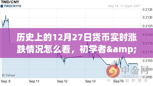 如何查看历史上12月27日货币实时涨跌情况？初学者与进阶用户全面解析指南