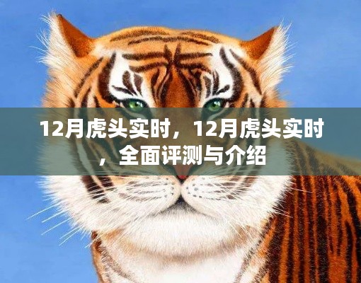jiuyuzhongfeng 第3页