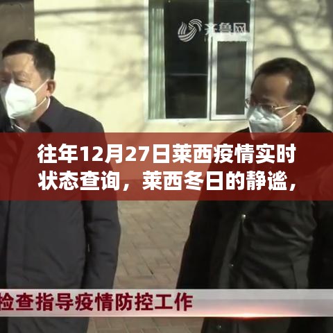 莱西疫情实时状态查询下的冬日自然探索之旅