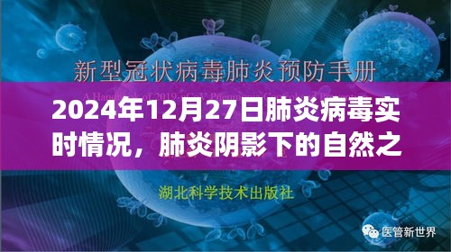 肺炎阴影下的自然之旅，2024年12月27日的宁静探索与实时病毒状况