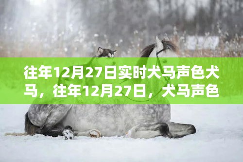 往年12月27日犬马声色中的节日氛围与实时体验探索