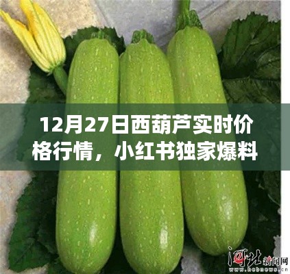 小红书独家爆料，12月27日西葫芦实时价格行情解析