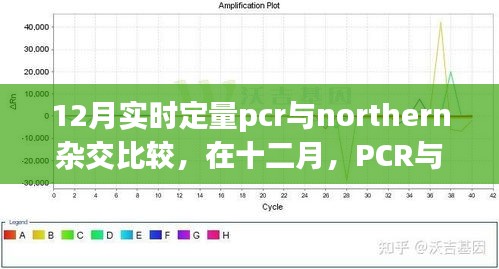十二月PCR与Northern杂交，实时定量与冒险之旅的比较