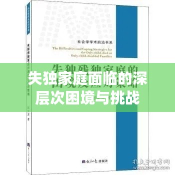 失独家庭面临的深层次困境与挑战