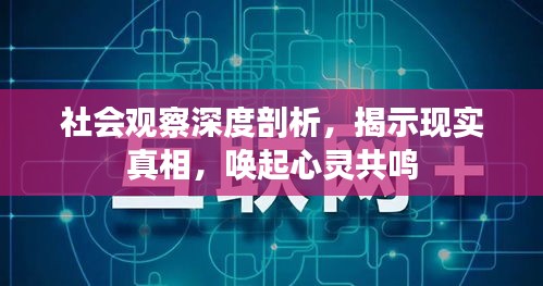 社会观察深度剖析，揭示现实真相，唤起心灵共鸣