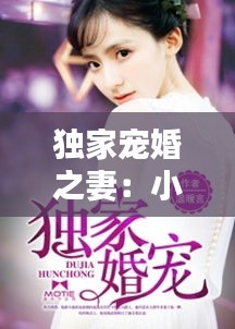 独家宠婚之妻：小说独家宠婚 