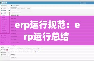 erp运行规范：erp运行总结 
