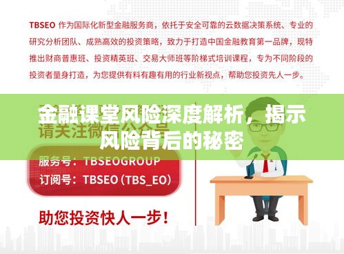 金融课堂风险深度解析，揭示风险背后的秘密