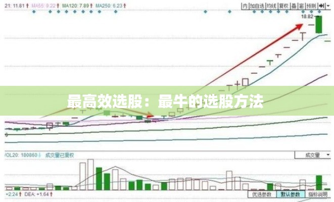 最高效选股：最牛的选股方法 
