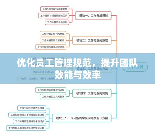 优化员工管理规范，提升团队效能与效率