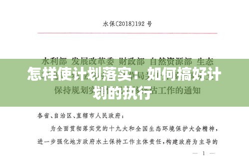 怎样使计划落实：如何搞好计划的执行 