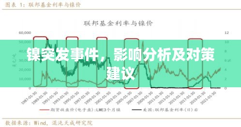 镍突发事件，影响分析及对策建议