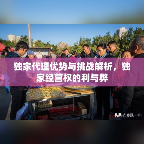 独家代理优势与挑战解析，独家经营权的利与弊