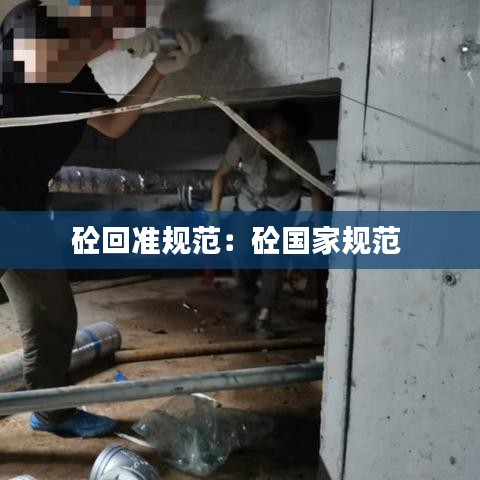 砼回准规范：砼国家规范 