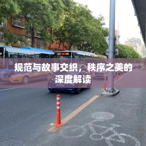规范与故事交织，秩序之美的深度解读
