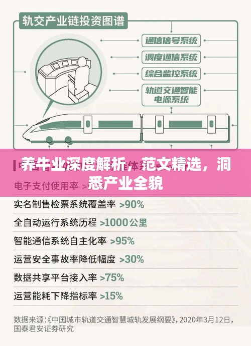 养牛业深度解析，范文精选，洞悉产业全貌