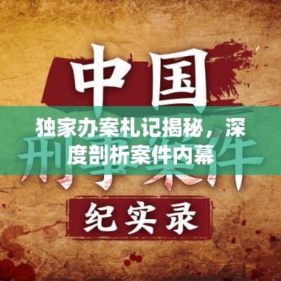 独家办案札记揭秘，深度剖析案件内幕