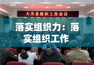 落实组织力：落实组织工作 