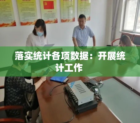 落实统计各项数据：开展统计工作 