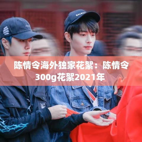 陈情令海外独家花絮：陈情令300g花絮2021年 