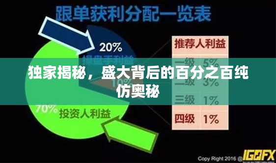 独家揭秘，盛大背后的百分之百纯仿奥秘
