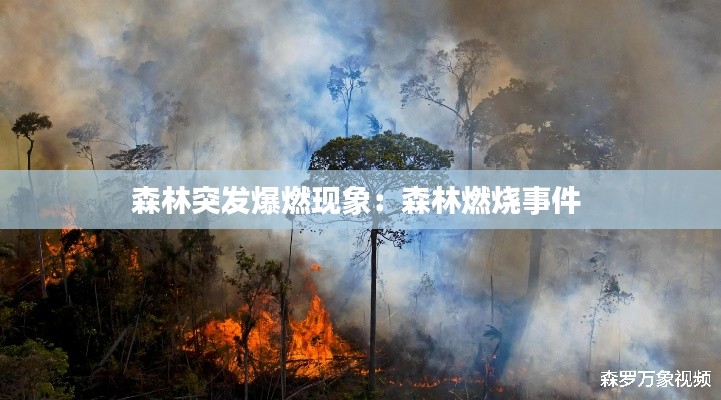森林突发爆燃现象：森林燃烧事件 