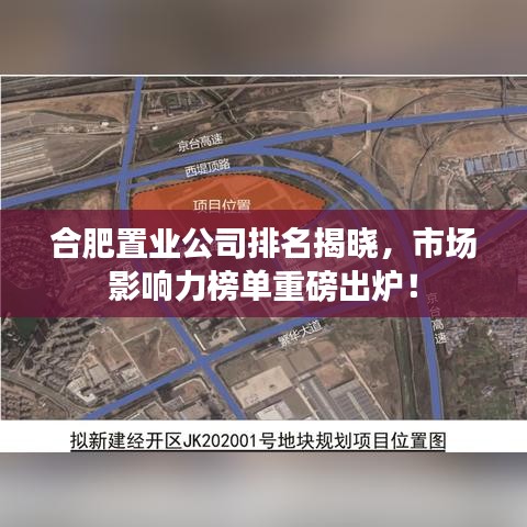合肥置业公司排名揭晓，市场影响力榜单重磅出炉！