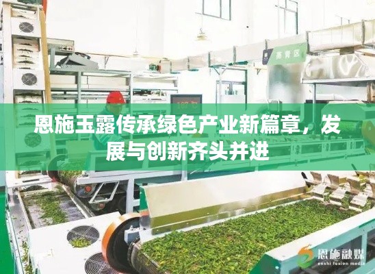 恩施玉露传承绿色产业新篇章，发展与创新齐头并进