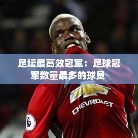 犯而不校 第2页