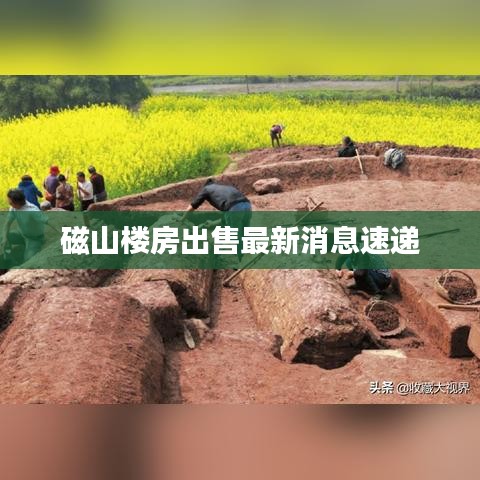 磁山楼房出售最新消息速递