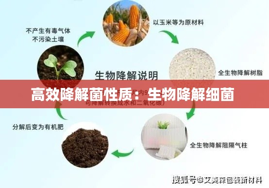 xiucairenqingzhibanzhang 第3页