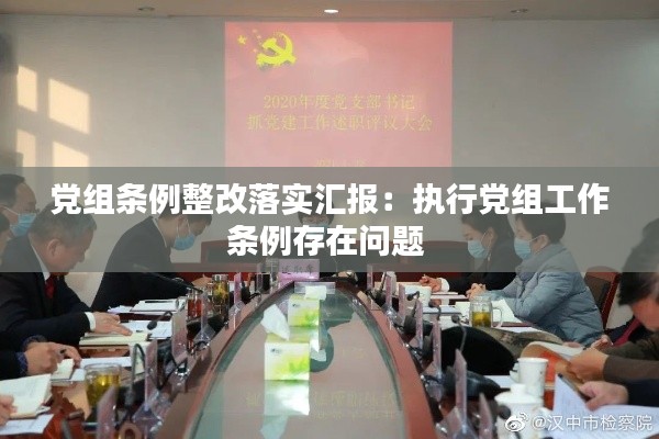 党组条例整改落实汇报：执行党组工作条例存在问题 