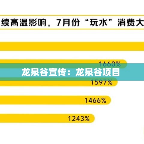 龙泉谷宣传：龙泉谷项目 