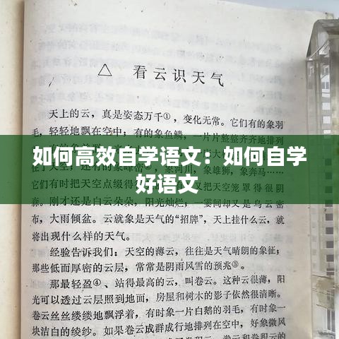 如何高效自学语文：如何自学好语文 