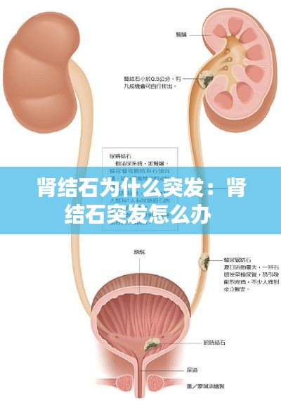 富贵荣华 第3页