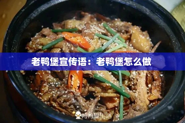 老鸭堡宣传语：老鸭堡怎么做 