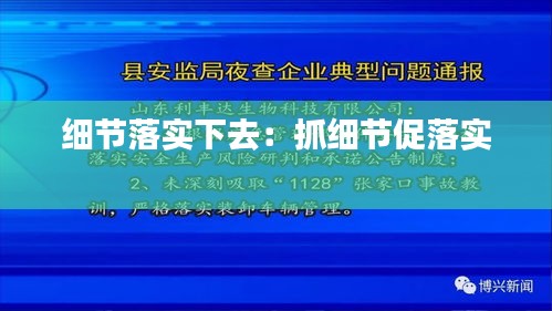 细节落实下去：抓细节促落实 