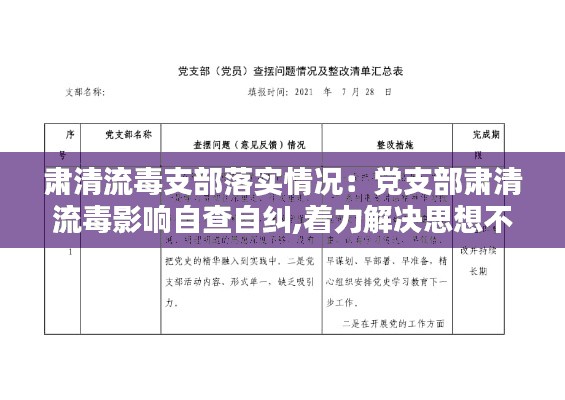肃清流毒支部落实情况：党支部肃清流毒影响自查自纠,着力解决思想不纯问题 