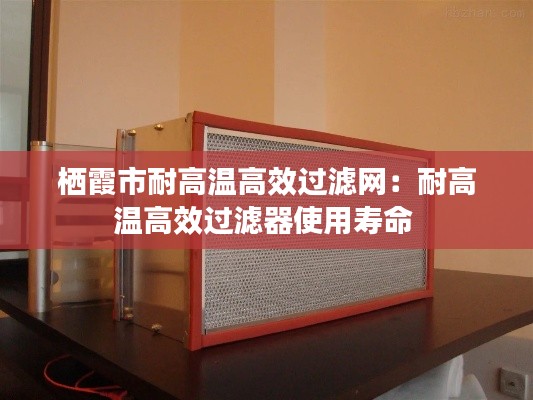 栖霞市耐高温高效过滤网：耐高温高效过滤器使用寿命 