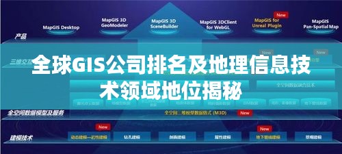 全球GIS公司排名及地理信息技术领域地位揭秘