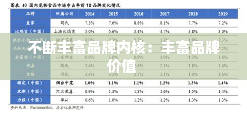 不断丰富品牌内核：丰富品牌价值 