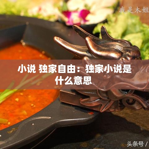 小说 独家自由：独家小说是什么意思 