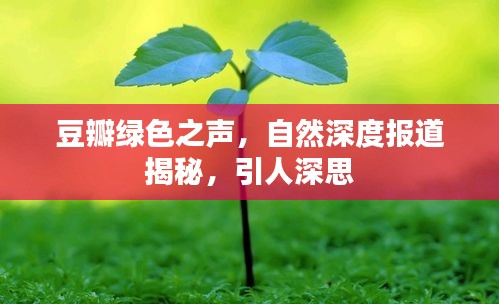 豆瓣绿色之声，自然深度报道揭秘，引人深思