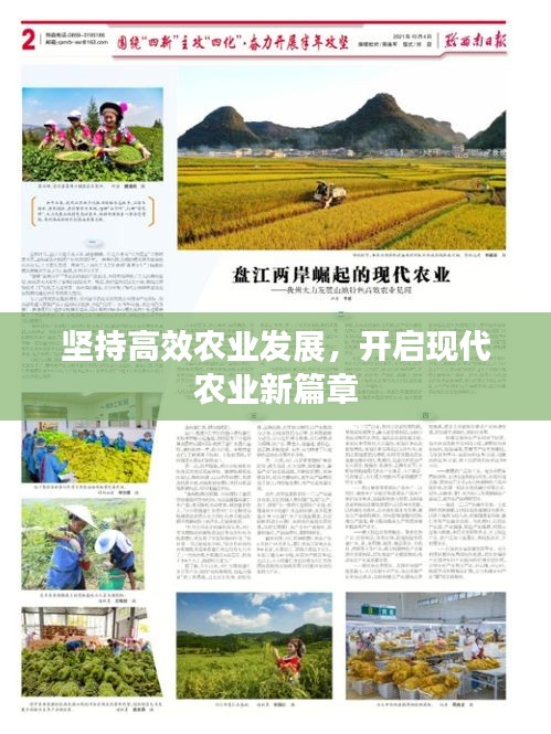 坚持高效农业发展，开启现代农业新篇章