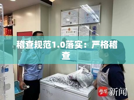 稽查规范1.0落实：严格稽查 