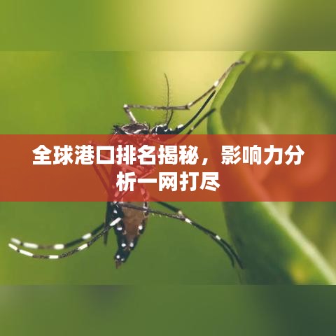 全球港口排名揭秘，影响力分析一网打尽